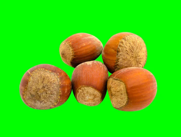 Několik lískových ořechů ve skořápce vystřihnout na zeleném pozadí — Stock fotografie
