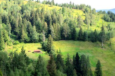 Ormanın derinliklerinde dağların arasında eski yalnız ev