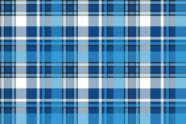 Ayrıca mavi ekoseli desensiz desen tasarladı.