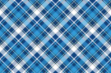 Ayrıca mavi ekoseli desensiz desen tasarladı.