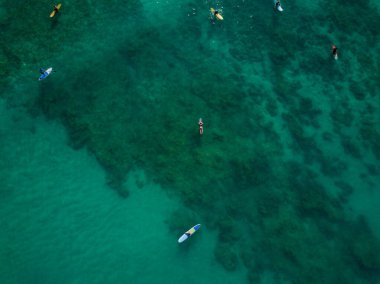 Hava aracı Waikiki plajı, Honolulu, Hawaii yakınlarındaki Pasifik Okyanusu 'ndaki sörfçüleri görüntüledi.