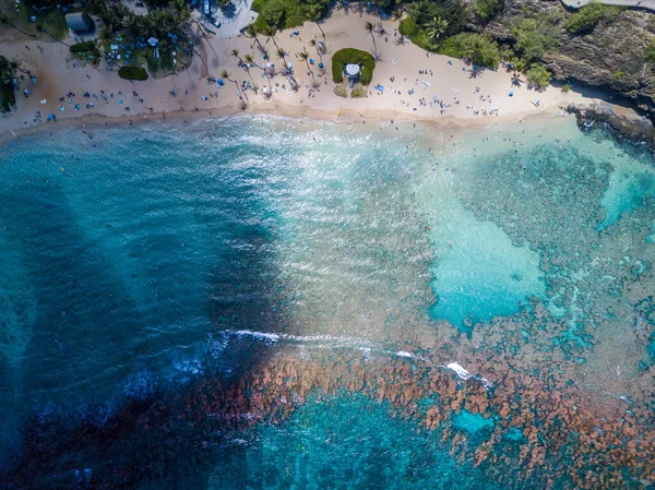 Havadan insansız hava aracı Hawaii 'deki Hanauma Körfezi Doğa Koruma Alanı' ndaki sahili görüntüledi. — Stok fotoğraf