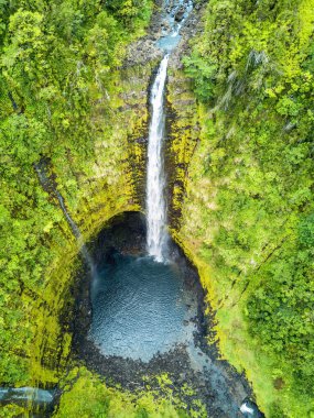 Hawaii 'deki Büyük Ada Natinal Park' ta Akaka Şelaleleri 'nin hava aracı görüntüsü.