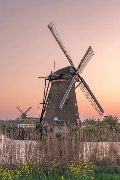 Golden red sunset cast on Mulini a vento a Kinderdijk vicino Rotterdam, Paesi Bassi — Foto Stock