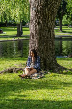 Boston, ABD - 3 Haziran: Genç bir kadın Boston 'daki Halk Bahçesi' nde gölün kenarındaki bir parkta ağaca yaslanmış çizim yapıyor.