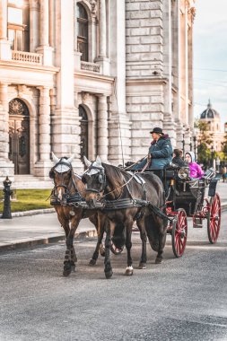 Viyana, Avusturya - 27 Nisan 2019: Viyana Caddesi 'nde at arabasına binen adam
