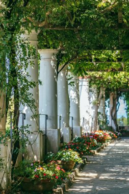 Anacapri, Capri Adası, İtalya 'daki bahçesinde bitkilerin olduğu beyaz sütunlar
