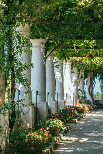 White columns with plants overhead in garden in Anacapri, capri island, Italy — Stock Photo, Image