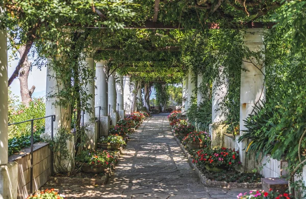 Beautiful floral passage with columns and plants overhead in garden in Anacapri, capri island, Italy — Stock Photo, Image