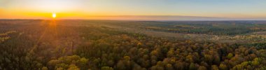 Aerial panoramic drone shot of Luneberg Heide forests pine trees forests woodland during sunset in autumn