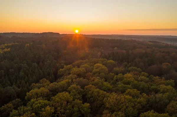 Aerial drone shot of pine tree forests and heathland in Luneberg Heide in Germany during sunset hour — Foto de Stock