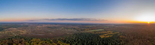 Captura aérea de drones panorámicos de bosques de Luneberg Heide bosques de pinos bosques durante la puesta del sol en otoño — Foto de Stock