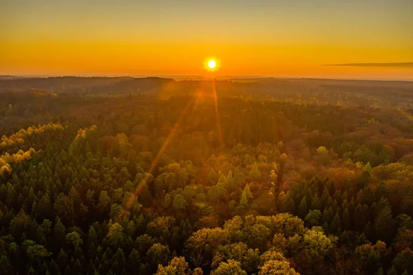 Aerial drone shot of pine tree forests and heathland in Luneberg Heide in Germany during sunset hour — Foto de Stock