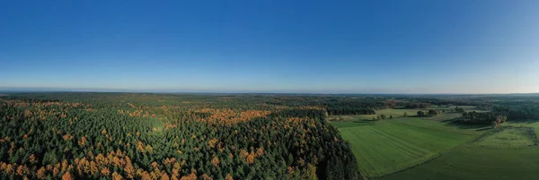 Captura aérea de drones panorámicos de pinos de los bosques de Luneberg Heide en otoño — Foto de Stock