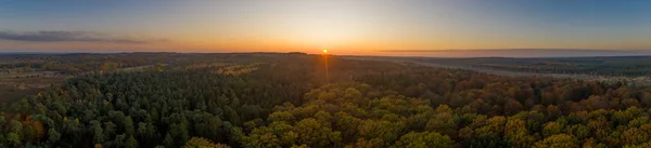 Captura aérea de drones panorámicos de bosques de Luneberg Heide bosques de pinos bosques durante la puesta del sol en otoño — Foto de Stock