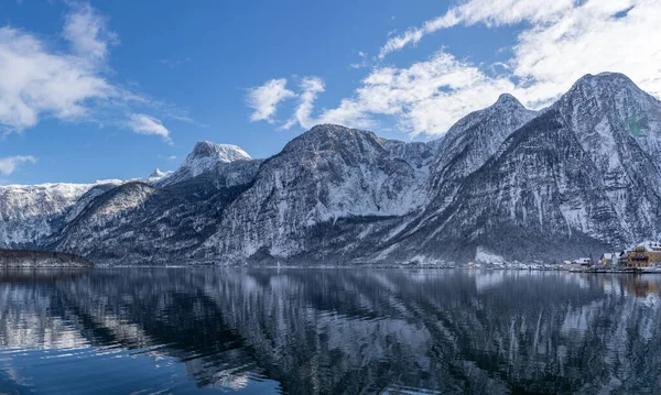 Pływanie Łabędź Jeziorze Hallstatt Śnieżną Górą Tle — Zdjęcie stockowe