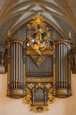 Stiftskirche 'deki org borusu Aziz Peter ve Johannes der Taufer