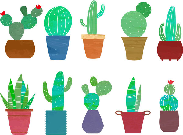 Watercolor style cactus set