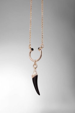 Gri arka plan üzerinde köpek elmas ile değerli Platin zincir.