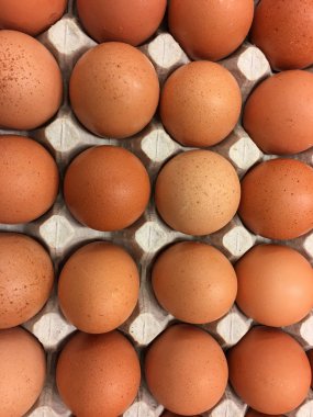 Taze doğal tavuk yumurta Karton Ambalaj.
