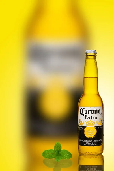 Bottle of fresh beer, cold beer Corona Extra mint. — Stock Photo, Image