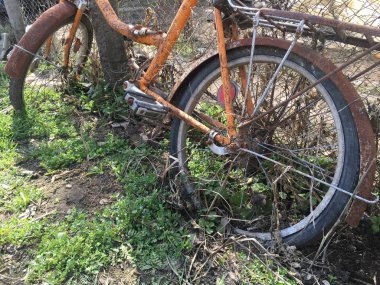 Yalnız eski bisiklet ile bir ot, turuncu bir çerçevede bir çitte paslanacak.