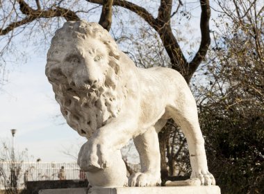Hayvanların kralı, aslan heykeli taştan yapılmıştır. Güç ve refahın sembolüdür..
