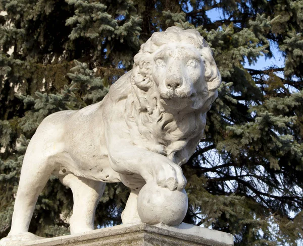 Památník lev, král zvířat je z kamene, symbol moci a prosperity. — Stock fotografie