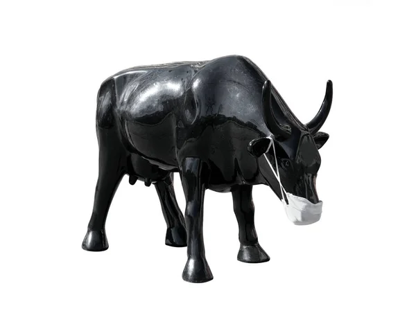 Ein Bulle Oder Eine Kuh Schwarz Vor Dem Virus Geschützt — Stockfoto