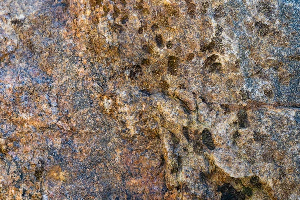 Texture Natural Rock Granite Natural Rock Granite Magmatic Structure Quartz — Stock Photo, Image