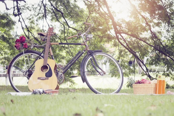 Picnic cesta vacaciones ocio estilo de vida concepto — Foto de Stock