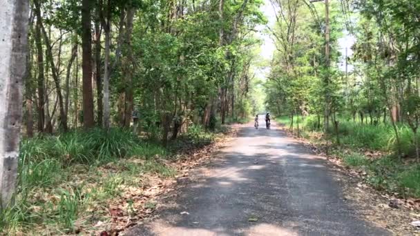 Ευτυχής Πατέρας Και Κόρη Ποδήλατο Στο Πάρκο Συναδέλφωσης Χαλάρωση Έννοια — Αρχείο Βίντεο