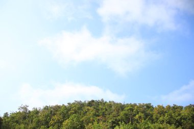 Görüntünün altında ağaçlar olan mavimsi ve bulutlu arkaplan resimleri veya duvar kağıtları için kullanın