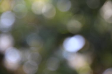 Yeşil ile soyut bokeh arkaplan, kopyalama alanı, soyut duvar kağıdı, de focus, bulanık desen