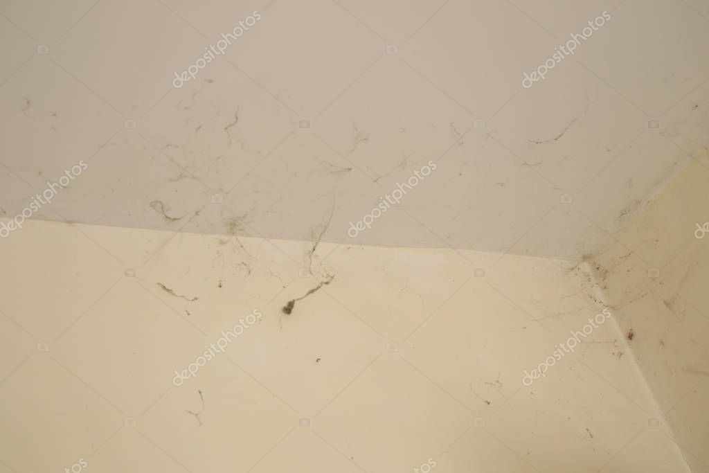 Cobwebs on the white ceiling in the house — Stock Photo © 27kornmongkol
