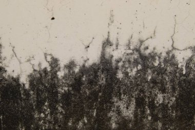 Soyut, eski beton duvarın dokusu soyut arkaplan desenli gri çimento, liken desenli eski duvar kirli beyaz duvar arka planı, beton duvardaki yosun dokusunu kapat