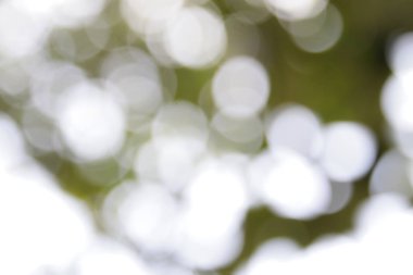 Yeşil ile soyut bokeh arkaplan, kopyalama alanı, soyut duvar kağıdı, de focus, bulanık desen