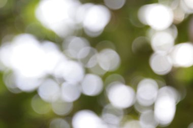 Yeşil ile soyut bokeh arkaplan, kopyalama alanı, soyut duvar kağıdı, de focus, bulanık desen