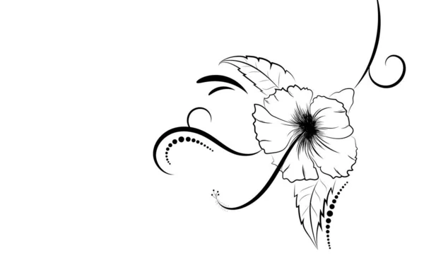 Illustrazione Disegnata Mano Del Fiore Ibisco Bianco Nero Isolato Vettore — Vettoriale Stock