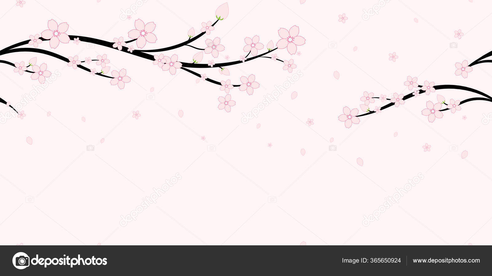 Image vectorielle Fleurs Branches Cerisier Japonais Sans Couture Fond Motif  Sakura Fleur par ©27kornmongkol@gmail.com - 365650924, image size:1600x900
