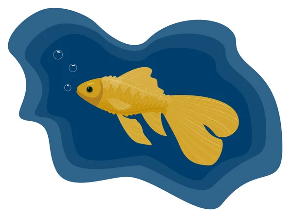 Zlatá rybka na modrém pozadí. — Stockový vektor