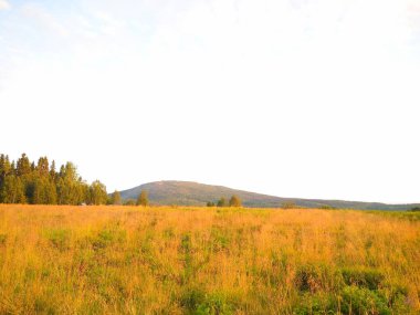 Bir dağ arkaplanındaki alan.