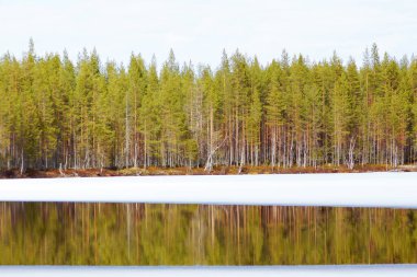 İlkbaharda gölde eriyen.