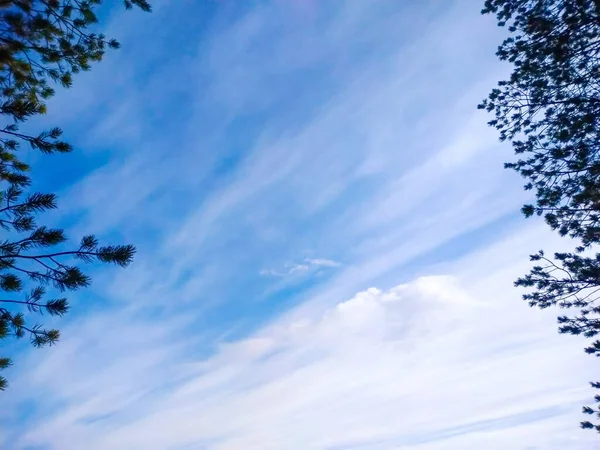 Mooie Wolken Lucht — Stockfoto