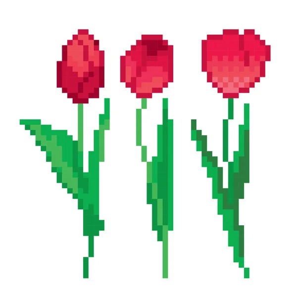 Tulipas. Arte Pixel. Estilo gráfico de computador da velha escola. Jogo de vídeo de 8 bits. elemento de jogo . — Vetor de Stock