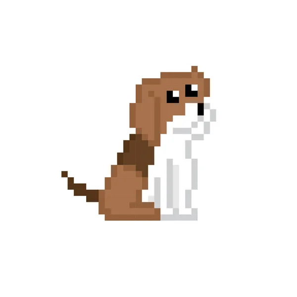 Dog pixel icon. Pixel art. Old school computer graphic. 8 bit video game. Game assets 8-bit sprite. — Stock Vector