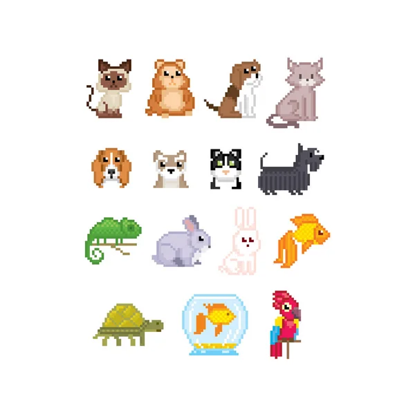 Juego de mascotas. Gato, perro, peces de acuario, loro y tortuga aislado vector ilustración pixel art 80 iconos de estilo. Pegatinas y diseño de bordado. Diseño de logotipos para tiendas de mascotas, aplicaciones móviles. Vieja escuela — Vector de stock