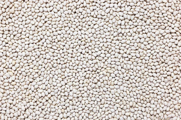 Food background of white beans. Texture. Close up.