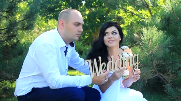 Recém-casado casal posando para uma sessão de fotos — Vídeo de Stock
