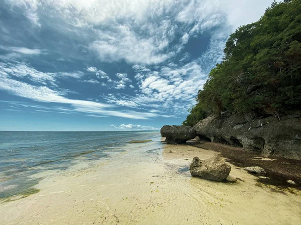 Kayalıklardaki yeşil ağaçlar. Kumsal yosunlu. Sakin deniz arka planda mavi gökyüzü. Büyük taşlar..